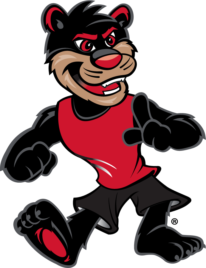 Cincinnati Bearcats 2015-Pres Mascot Logo diy iron on heat transfer